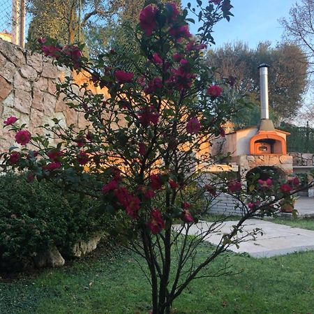B&B Damiano Crespano del Grappa Екстериор снимка