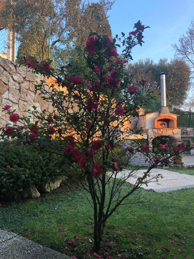 B&B Damiano Crespano del Grappa Екстериор снимка